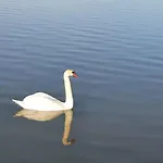 Sunshine Fonyodliget Διαμέρισμα Fonyód