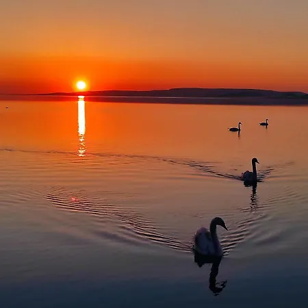 Sunshine Fonyodliget