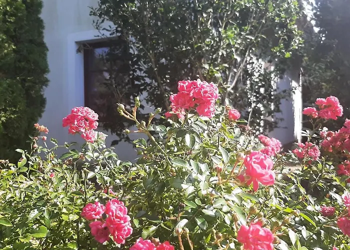 Sunshine Fonyodliget