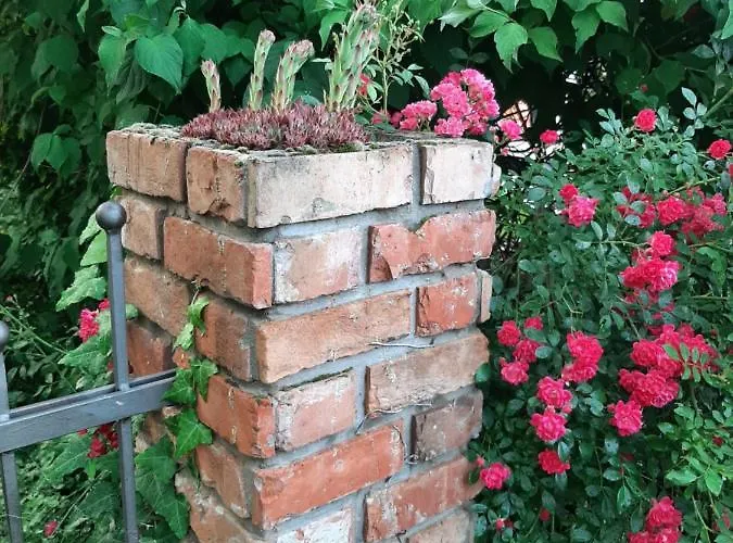 Sunshine Fonyodliget Fonyód